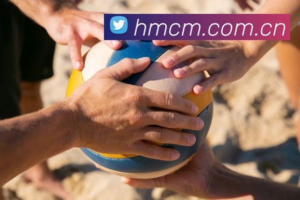 半岛综合官网平台生态图