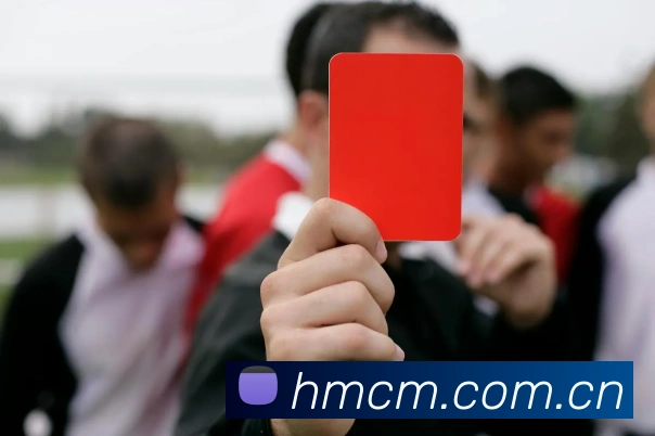 半岛综合官网APP 封面图